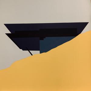 W. Goszka -dyplom uzupełniający